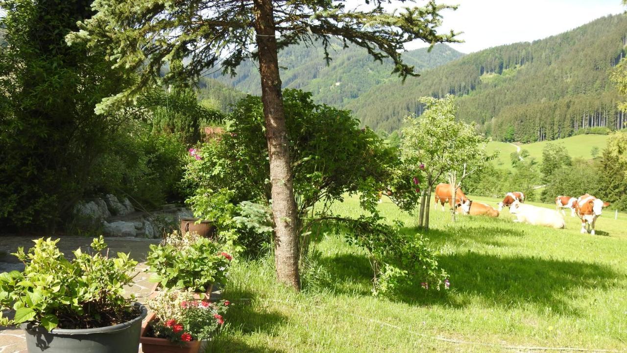 Gross Lettenwag Göstling an der Ybbs Exterior photo